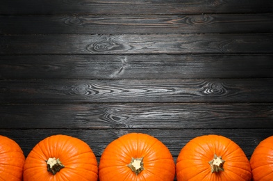 Photo of Ripe orange pumpkins on black wooden table, flat lay. Space for text