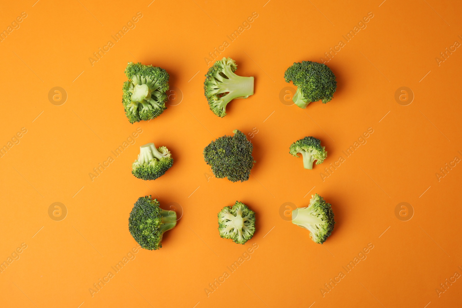 Flat lay composition with fresh green broccoli on color background Photo of Flat lay composition with fresh green broccoli on color background