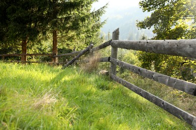 Photo of Wooden fence and bright green grass outdoors on sunny day
