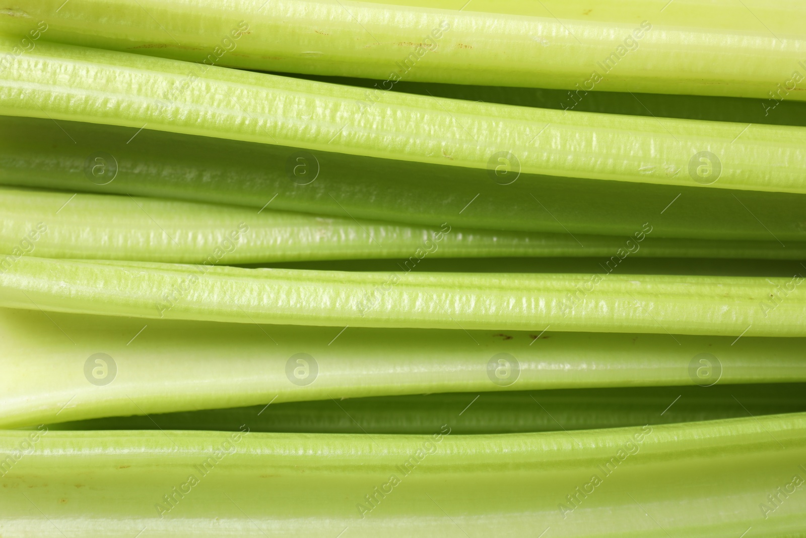 Photo of Fresh green celery stalks as background, top view