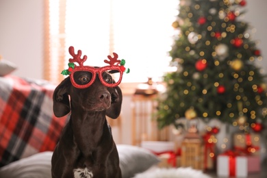 Photo of Cute dog wearing Christmas eyeglasses at home, space for text