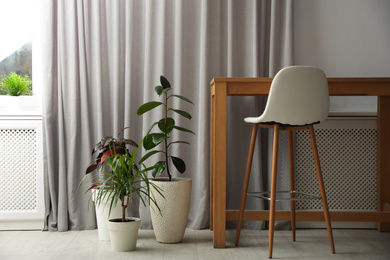 Photo of Beautiful potted plants near wooden table in room