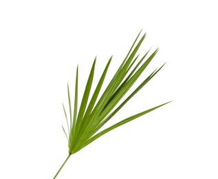 Photo of Green beautiful tropical leaf isolated on white