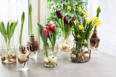 Photo of Beautiful spring flowers in glassware on grey window sill