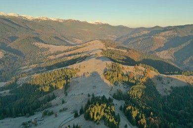 Photo of Beautiful landscape with forest in mountains on sunny day. Drone photography