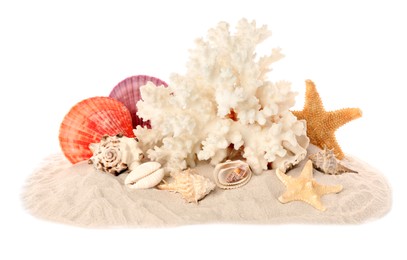 Beautiful exotic sea coral, shells and sand on white background