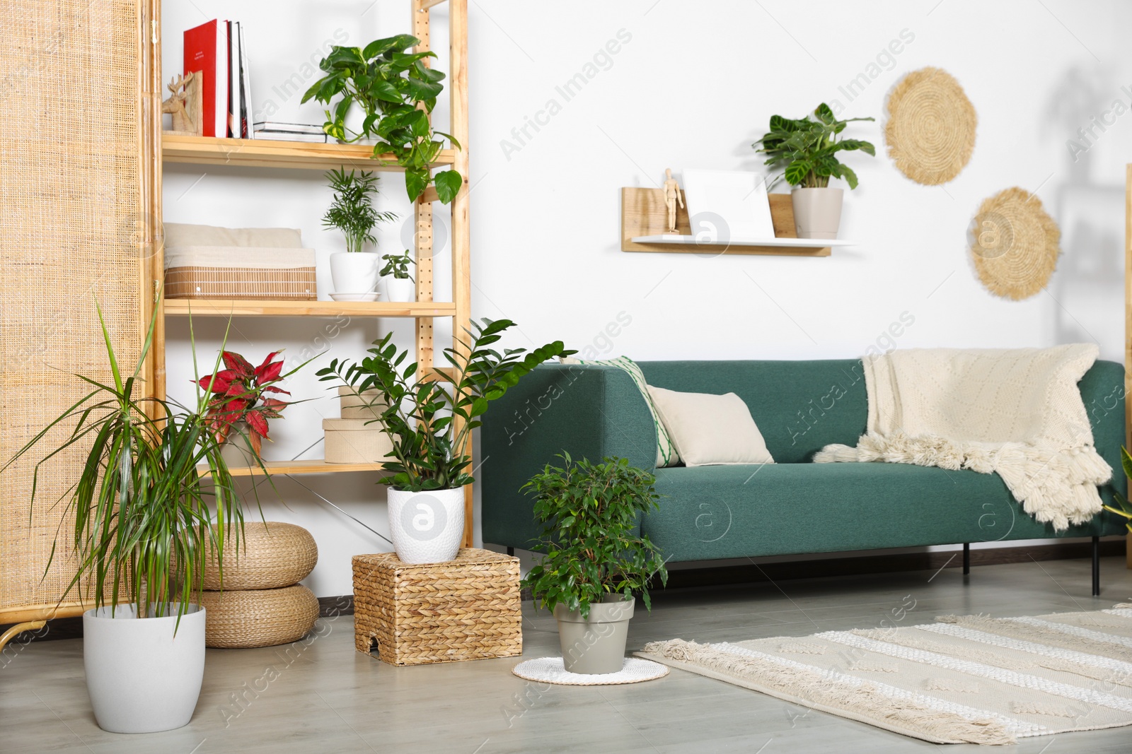 Photo of Living room interior with beautiful different potted green plants and furniture. House decor