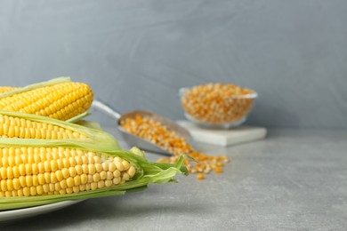 Photo of Plate of fresh corncobs on grey table. Space for text