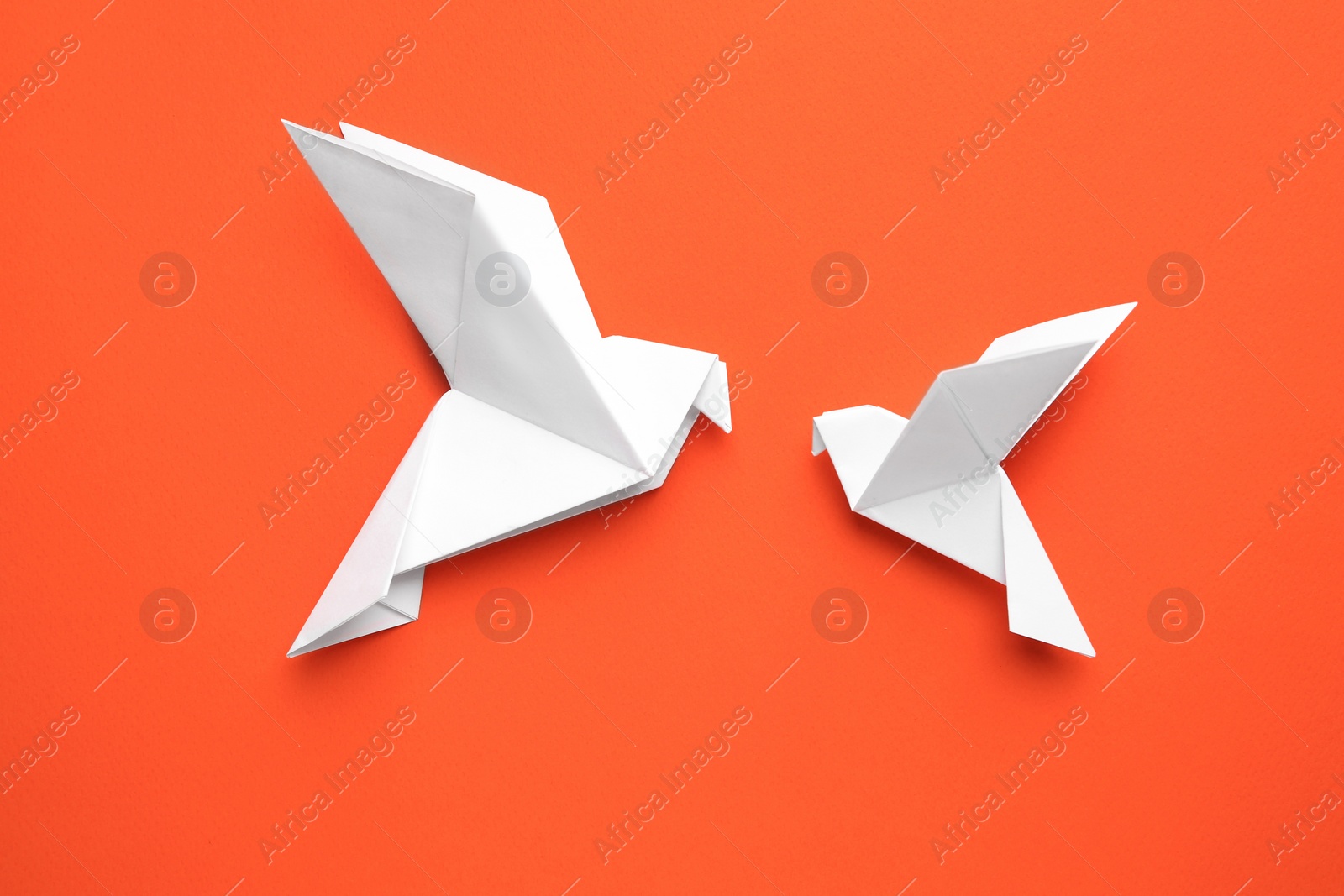 Photo of Beautiful white origami birds on orange background, flat lay