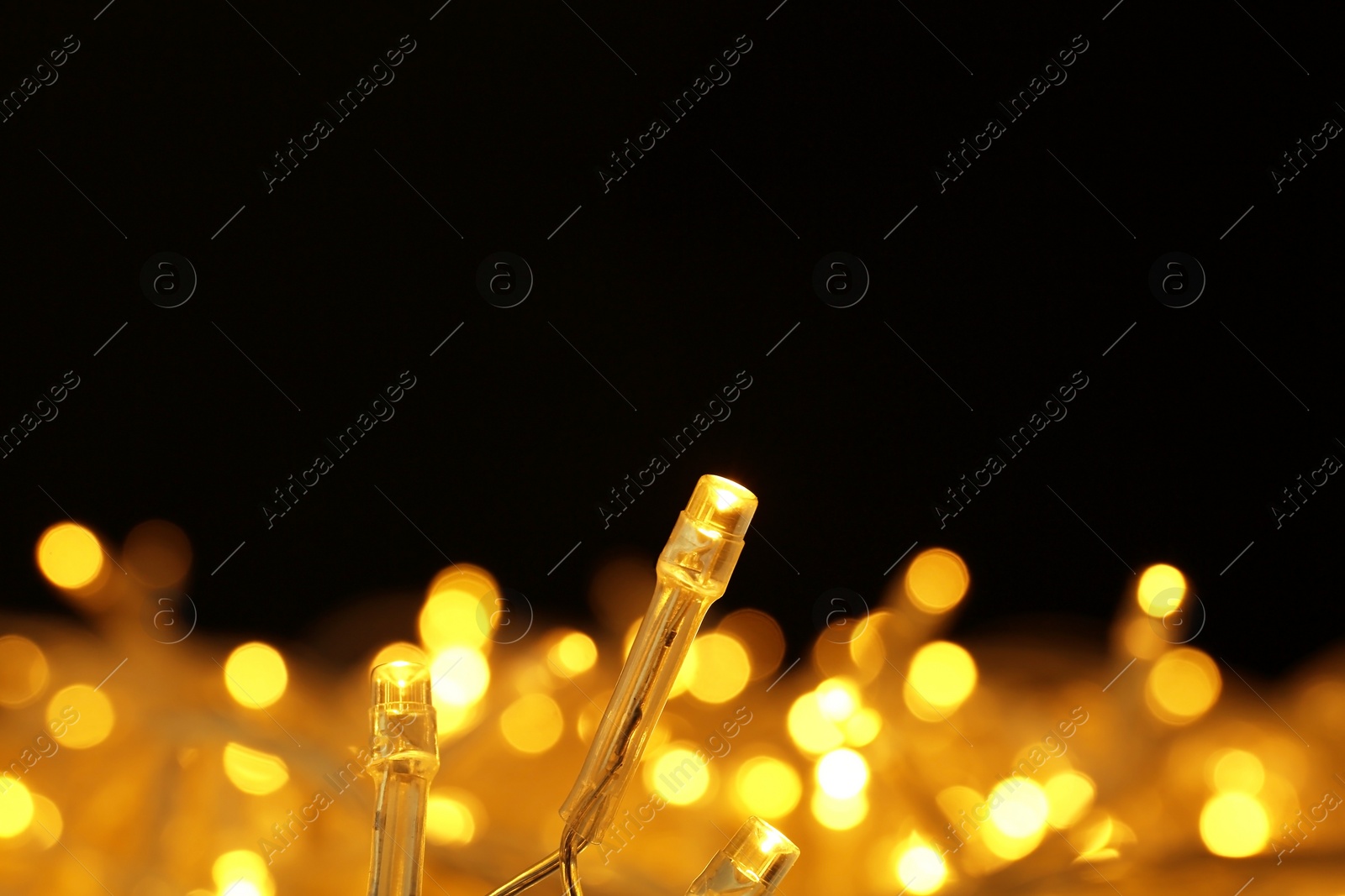 Photo of Glowing Christmas lights on black background, closeup. Space for text