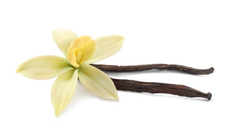 Photo of Aromatic vanilla sticks and beautiful flower on white background