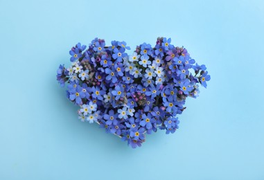 Photo of Heart of beautiful forget-me-not flowers on light blue background, top view
