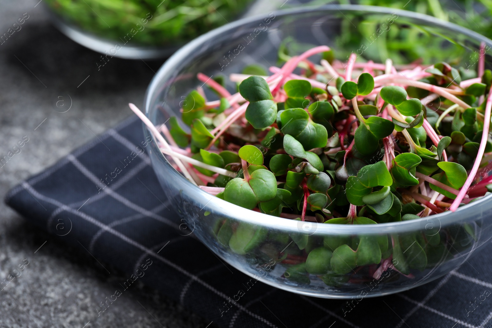 Photo of Glass bowl with fresh microgreen on grey table, closeup