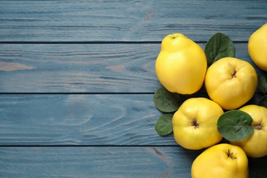 Photo of Fresh ripe organic quinces with leaves on blue wooden table, flat lay. Space for text