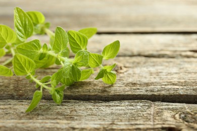 Photo of Sprigs of fresh green oregano on wooden table, closeup. Space for text