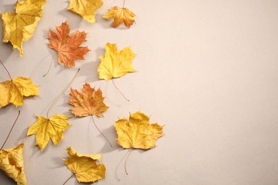 Photo of Dry autumn leaves on beige background, top view. Space for text