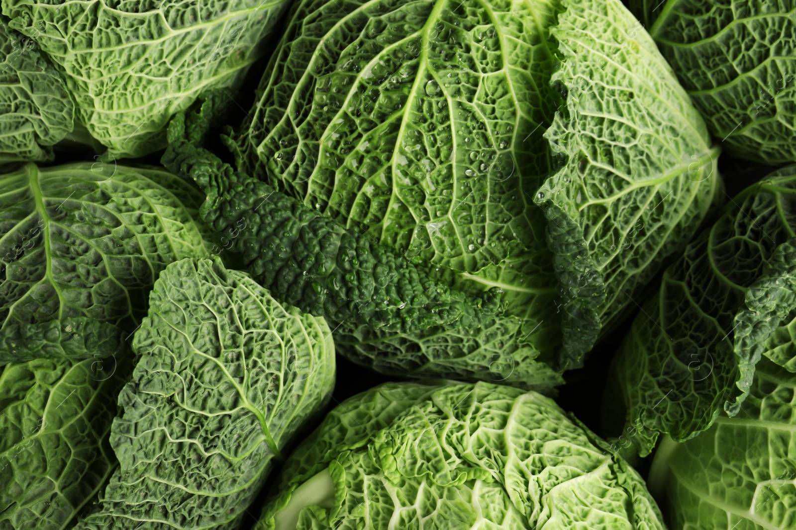 Photo of Fresh green savoy cabbages as background, top view