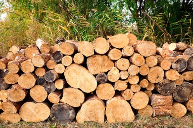 Photo of Stacked firewood on green grass outdoors. Heating in winter