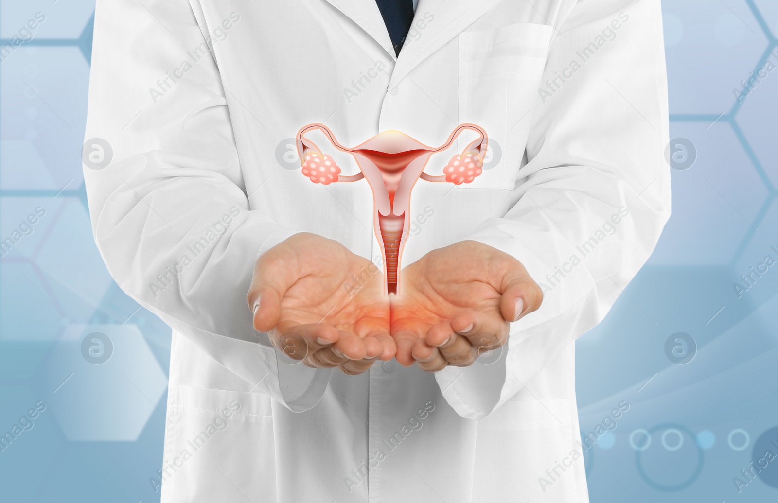 Image of Doctor demonstrating virtual icon with illustration of female reproductive system on light background, closeup. Gynecological care 