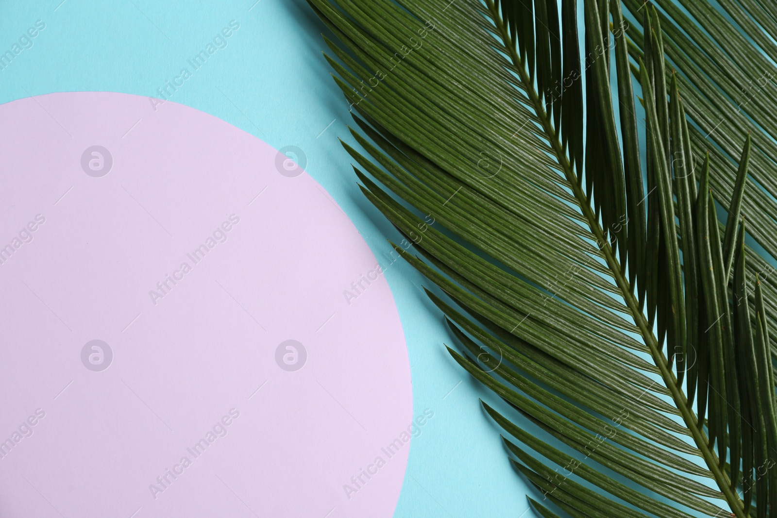 Photo of Blank card with tropical leaves on color background, top view