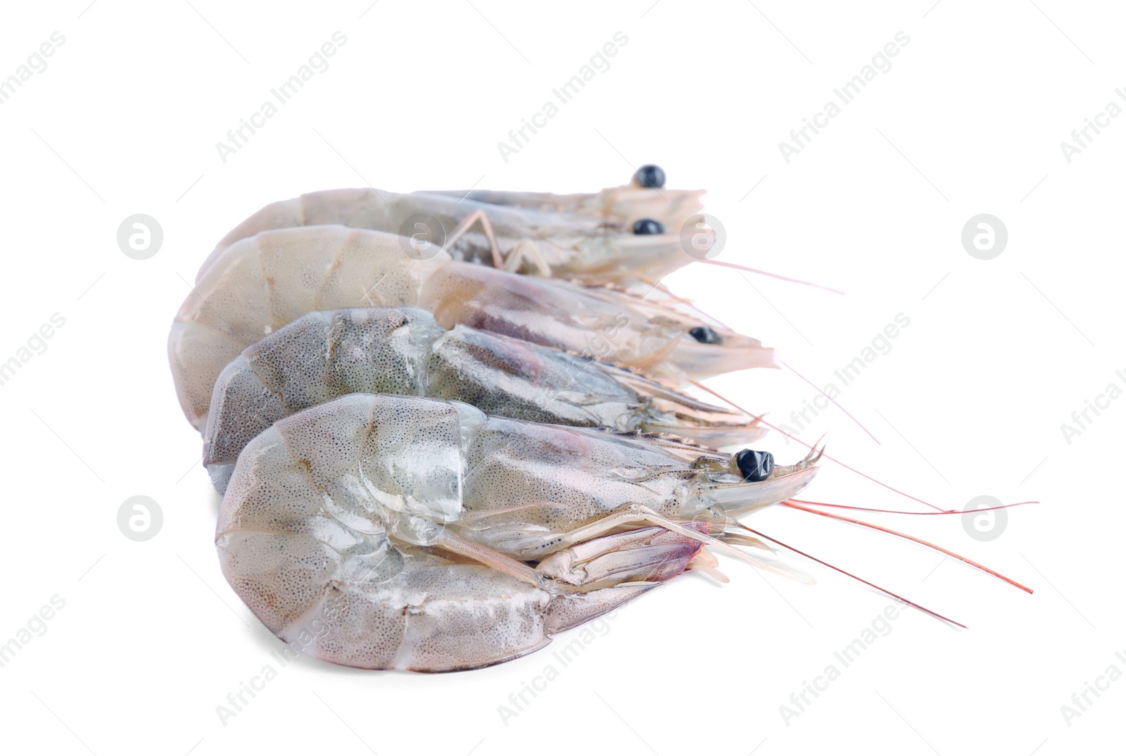 Photo of Fresh raw shrimps isolated on white. Healthy seafood