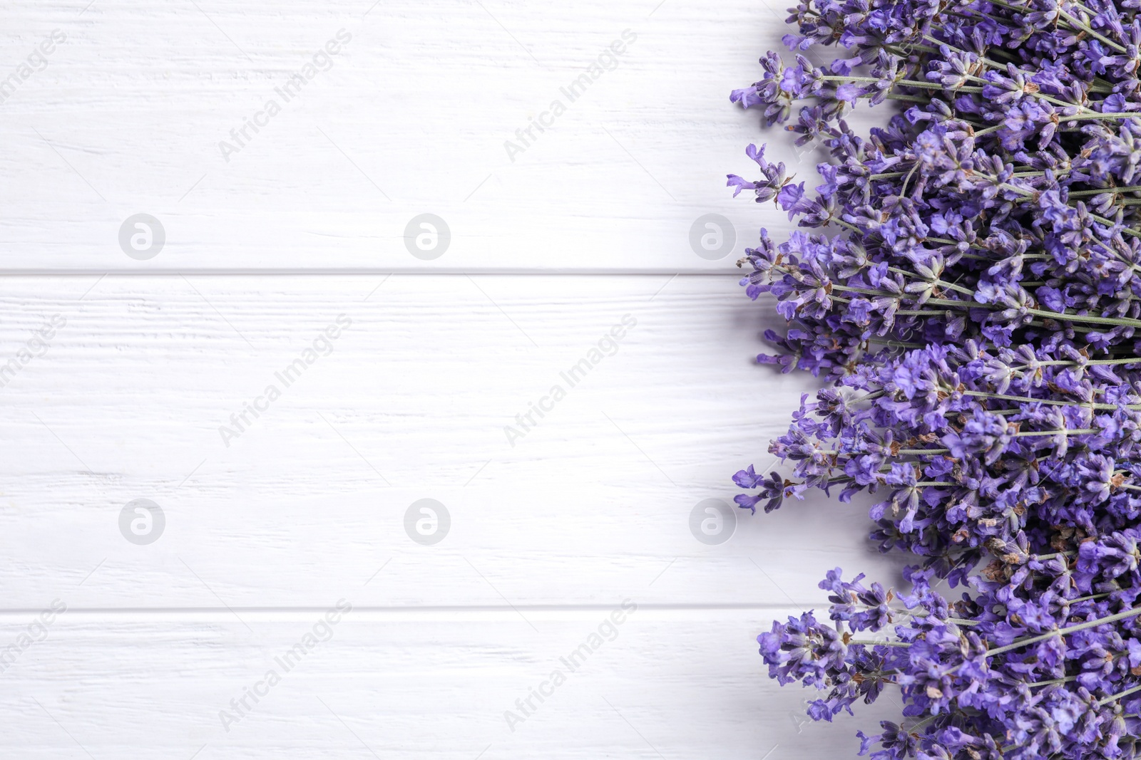 Photo of Beautiful lavender flowers on white wooden background, flat lay. Space for text