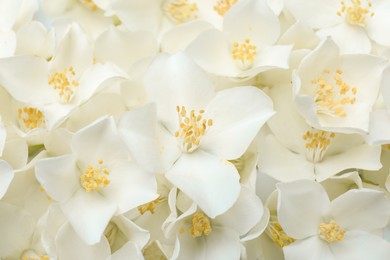 Photo of Closeup of beautiful white jasmine flowers, top view