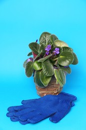 Photo of Gardening gloves and pot with beautiful houseplant on light blue background