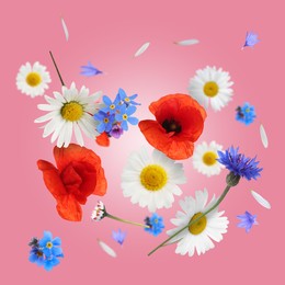 Image of Beautiful meadow flowers falling on pink background