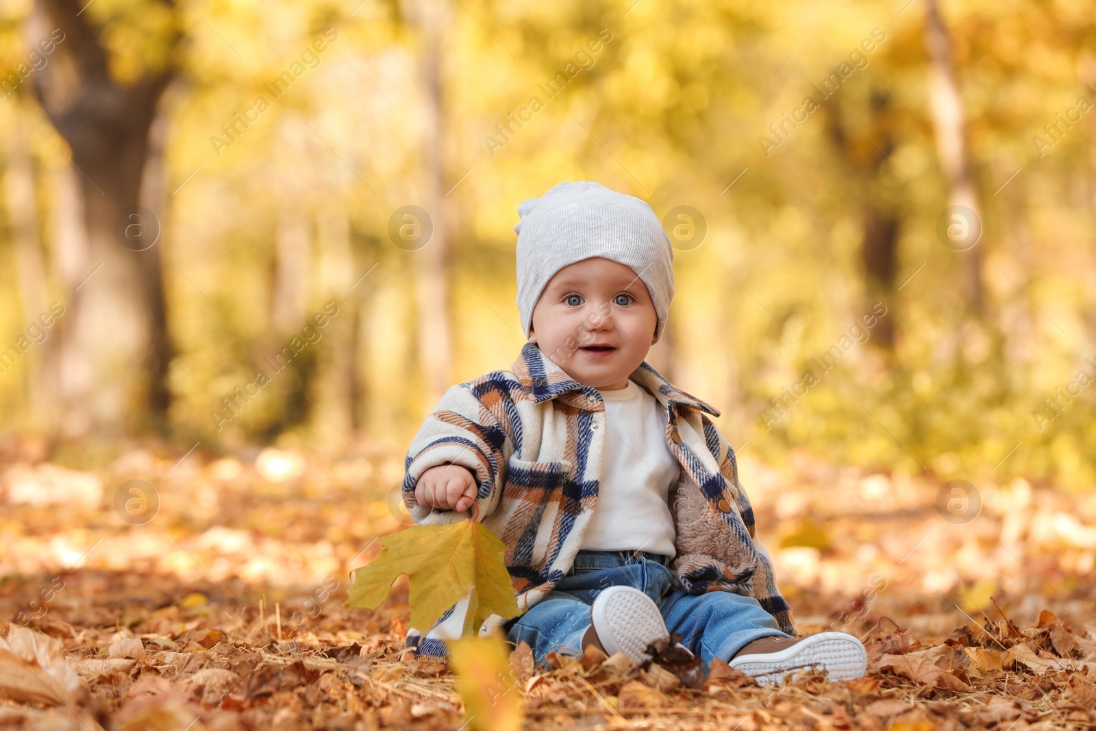 Photo of Cute little child on ground with dry leaves in autumn park, space for text