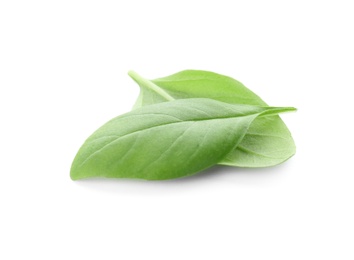 Photo of Fresh green basil leaves on white background