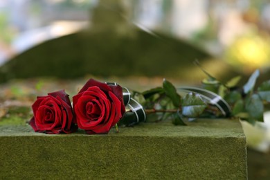 Photo of Red roses on grey tombstone outdoors on sunny day. Funeral ceremony