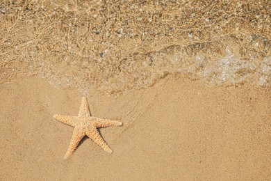 Starfish on tropical sandy beach, top view. Space for text