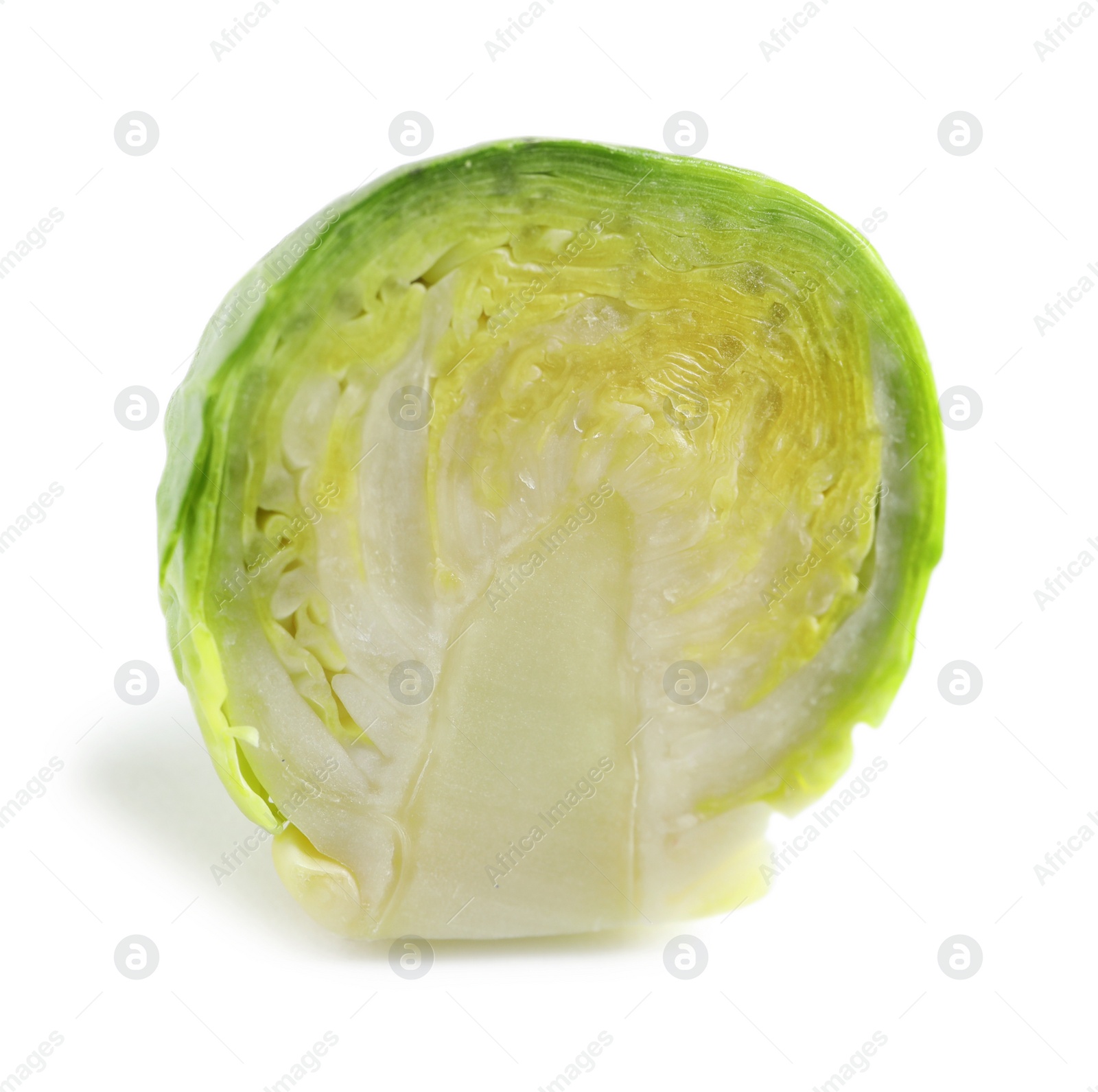 Photo of Fresh cut Brussels sprout on white background