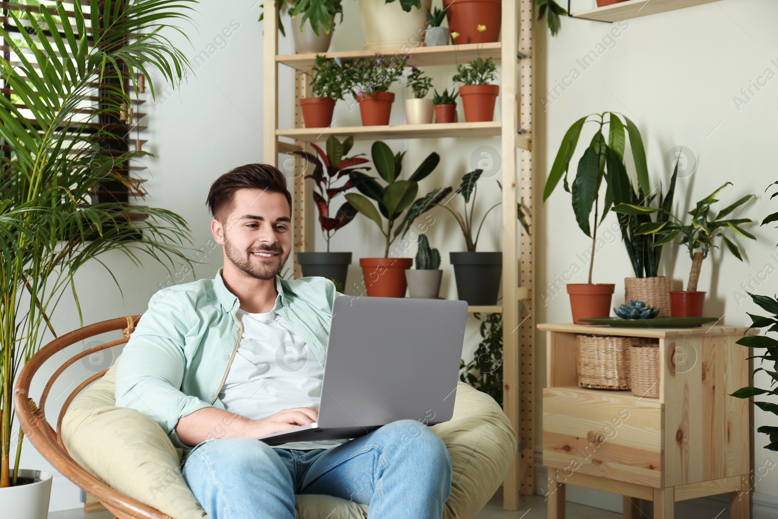 Photo of Young man using laptop in room with different home plants