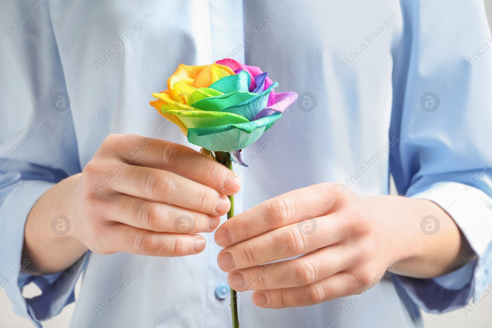 Photo of Woman holding rainbow rose flower, closeup