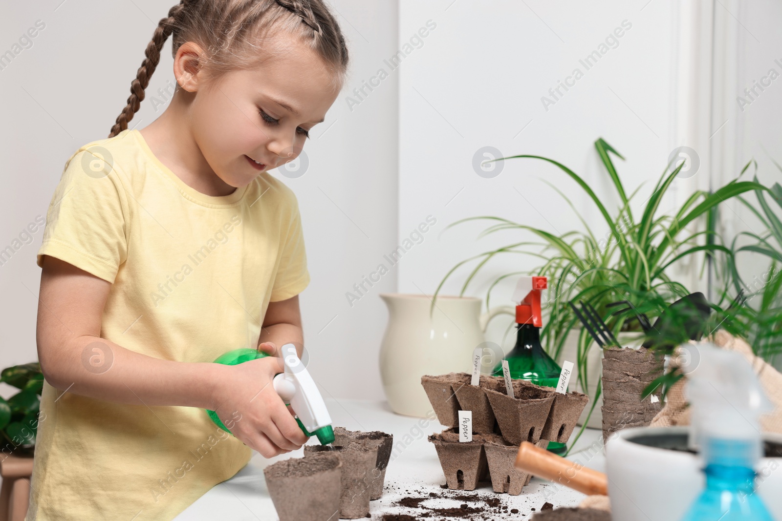 Photo of Little girl spraying water onto vegetable seeds in peat pots on window sill indoors