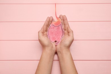Photo of Woman holding paper cutout of small intestine on pink wooden background, top view