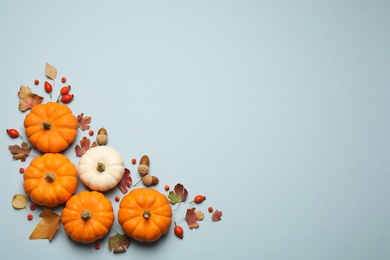 Photo of Different pumpkins, autumn leaves, berries and acorns on light blue background, flat lay. Space for text