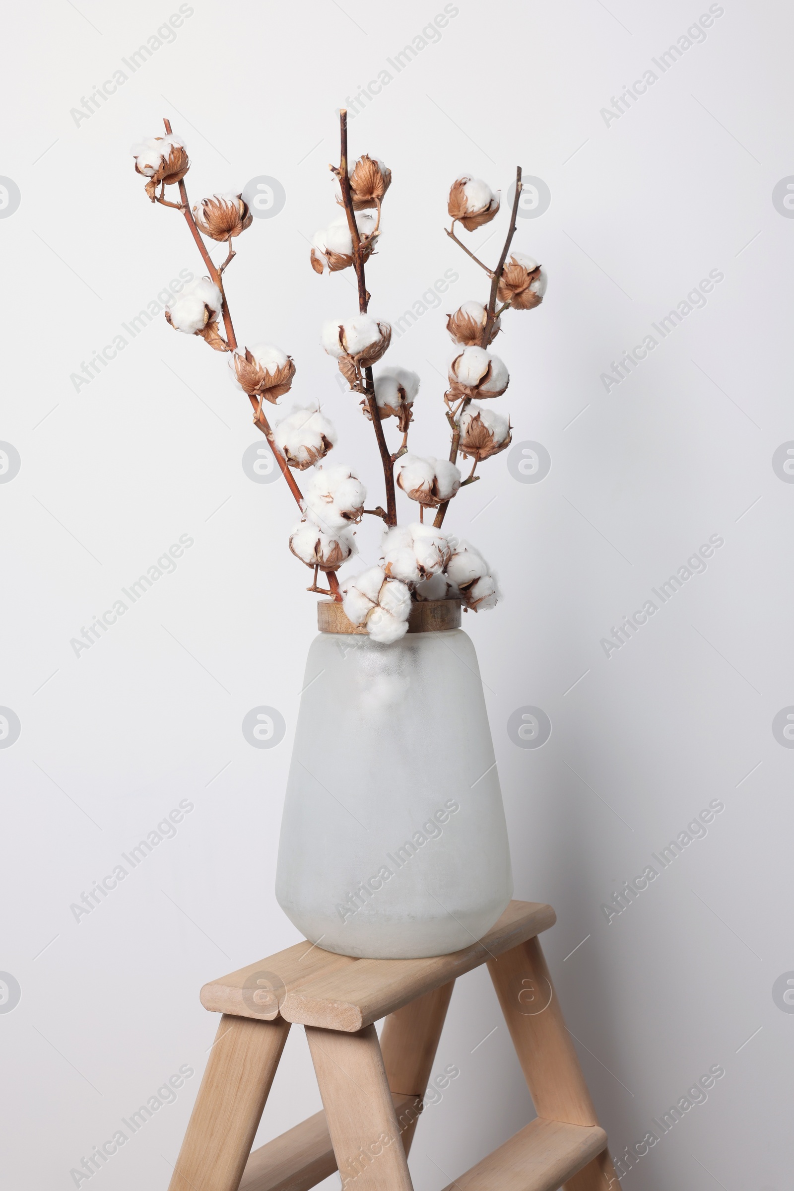 Photo of Cotton branches with fluffy flowers in vase on wooden ladder near white wall