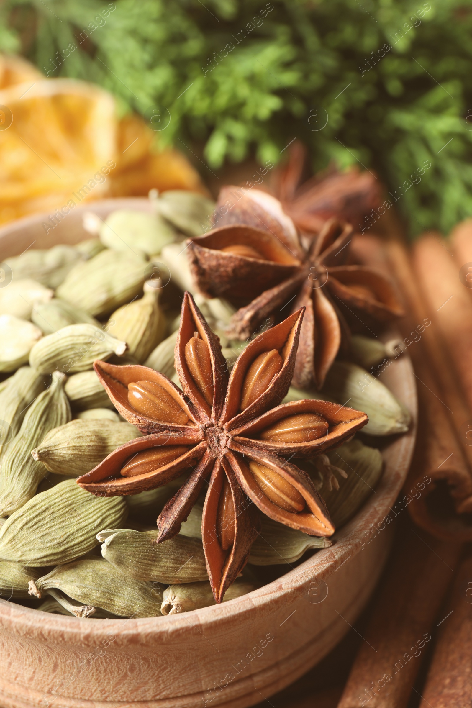 Photo of Dry anise star and cardamon seeds in bowl, closeup. Mulled wine ingredients