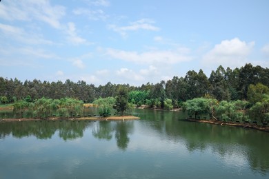 Photo of Picturesque view of pond and beautiful green park