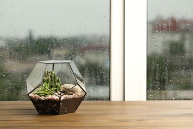 Photo of Glass florarium with succulent near window on rainy day. Space for text
