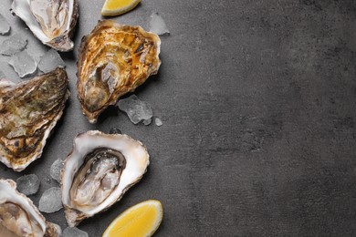 Fresh oysters with lemon and ice on grey table, flat lay. Space for text