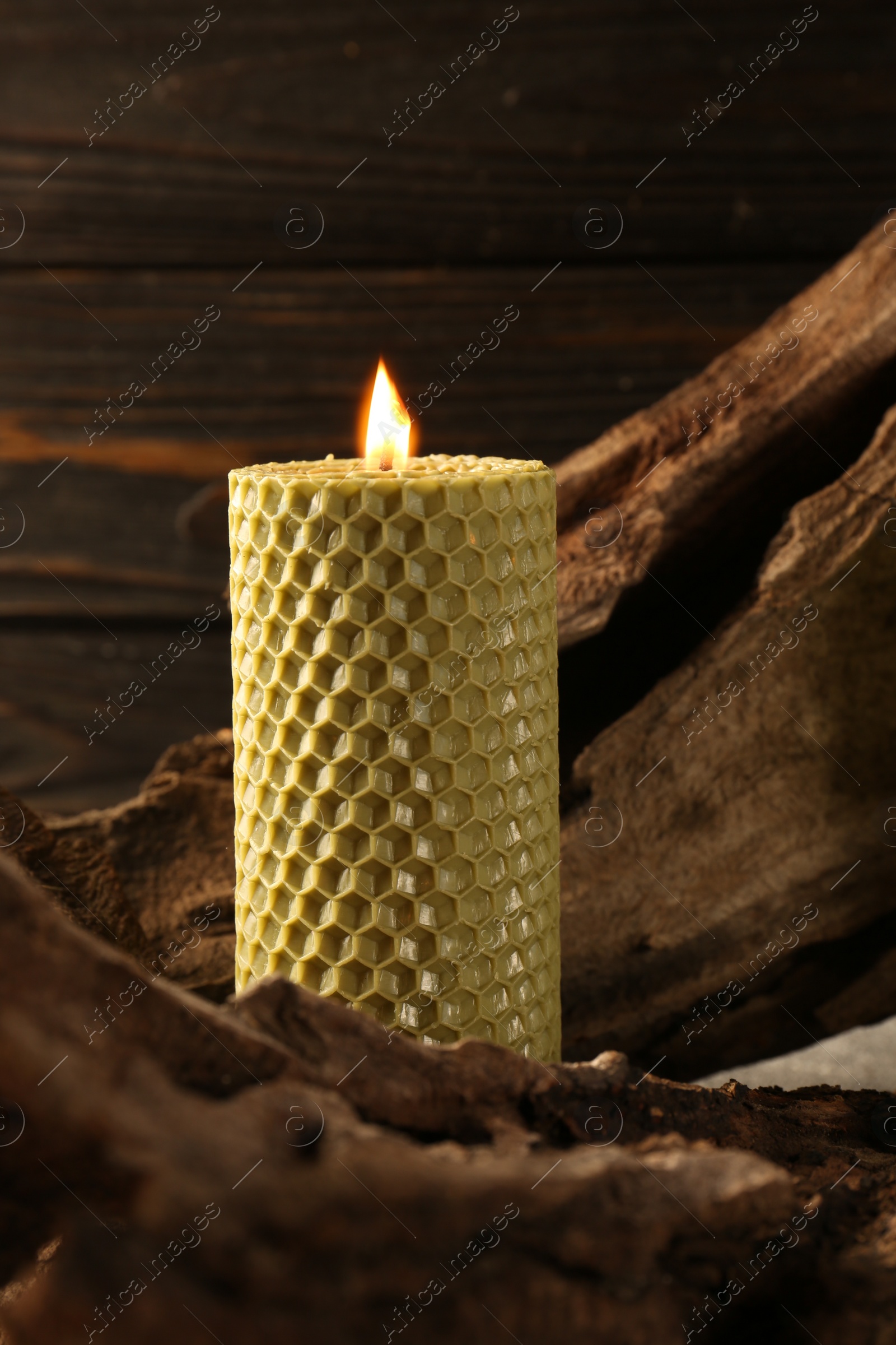 Photo of Beautiful burning beeswax candle on snag near wooden wall