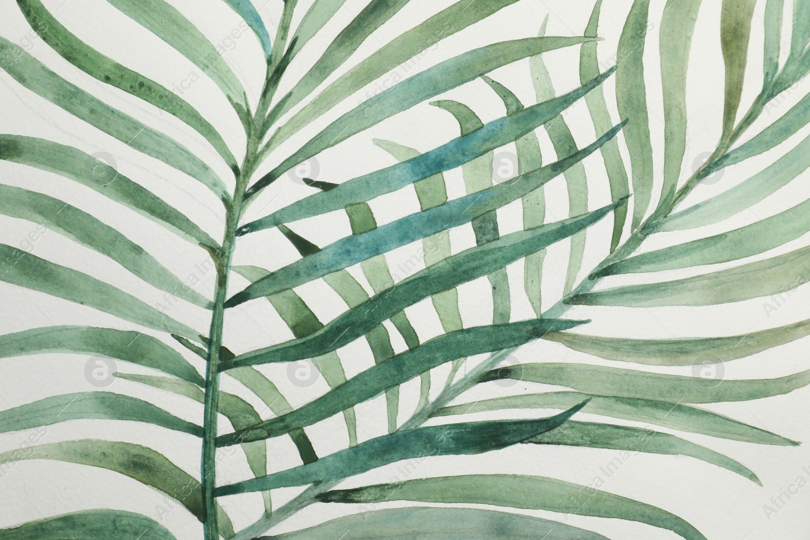 Photo of Beautiful watercolor tropical leaves painted on white paper, top view