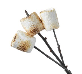 Twigs with roasted marshmallows on white background