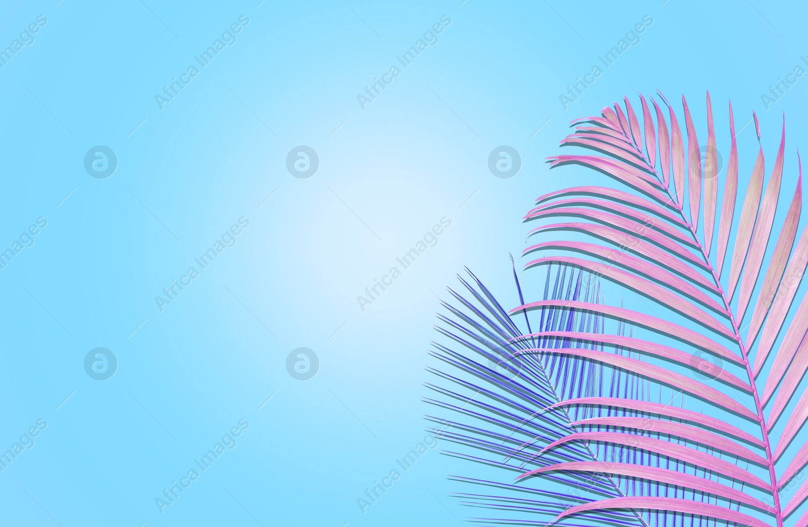 Image of Colorful tropical leaves on light blue background, flat lay. Creative design