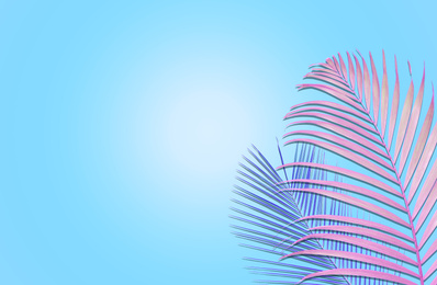 Image of Colorful tropical leaves on light blue background, flat lay. Creative design