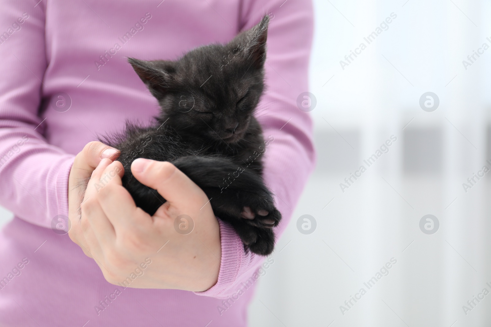 Photo of Little girl with cute fluffy kitten indoors, closeup. Space for text